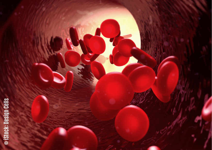 Hemoglobin mass and hemoglobin concentration